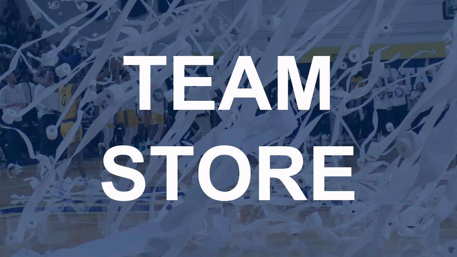 Team Store